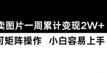 小红书【卖图片】一周累计变现2W+小白易上手-蜗牛学社