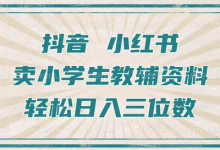 抖音小红书卖小学生教辅资料,操作简单,小白也能轻松上手,一个月利润1W+-蜗牛学社
