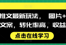 小说推文最新玩法, 图片+搭配小说文案,转化率高,收益稳定-蜗牛学社
