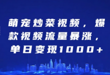 萌宠炒菜视频，爆款视频流量暴涨，单日变现1k-蜗牛学社