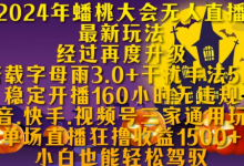 年蟠桃大会无人直播最新玩法,稳定开播160小时无违规,抖音、快手、视频号三家通用玩法-蜗牛学社