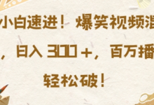小白速进,爆笑视频混剪,日入3张,百万播放轻松破-蜗牛学社