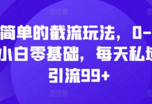 简单的截流玩法,0-1小白零基础,每天私域引流99+-蜗牛学社
