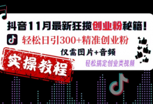 抖音11月最新狂揽创业粉秘籍,轻松日引300+精准创业粉,仅需图片+音频,轻松搞定创业类视频-蜗牛学社