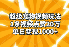 超级宠物视频玩法，1条视频点赞20万，单日变现1k-蜗牛学社