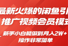 闲鱼引流推广影视会员，0成本就可以操作，新手小白月入过W+-蜗牛学社