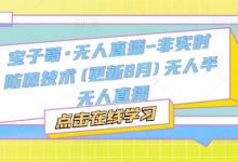 宝子哥·无人直播-非实时防风技术(更新11月)无人半无人直播-蜗牛学社