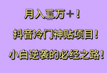 抖音冷门神贴项目，小白逆袭的必经之路，月入过W-蜗牛学社