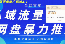 最新暴力私域网盘拉新玩法2.0，多种变现模式，并打造私域回流，轻松日入500+-蜗牛学社