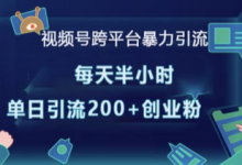 视频号跨平台暴力引流,每天半小时,单日引流200+精准创业粉-蜗牛学社