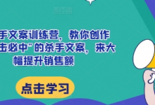 AI杀手文案训练营，教你创作出“一击必中”的杀手文案，来大幅提升销售额-蜗牛学社