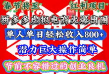 春节将至,拼多多虚拟电商火爆出圈,潜力巨大操作简单,单人单日轻松收入多张-蜗牛学社