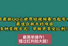 12月最新QQ小世界短视频暴力起号项目，最适合新手的项目，多种变现方式-蜗牛学社