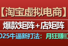 淘宝虚拟电商,2025牛逼新打法:爆款矩阵+店矩阵,月入过万-蜗牛学社