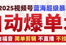 2025视频号蓝海超级暴利自动爆单术1.0 ,小白褔音 简单剪辑 不直播 不挂车-蜗牛学社
