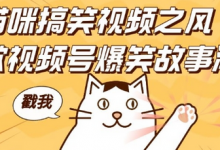 借猫咪搞笑视频之风,掀视频号爆笑故事潮,轻松日入四位数,无门槛快速入门!-蜗牛学社