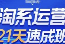 淘系运营21天速成班(更新24年12月),0基础轻松搞定淘系运营,不做假把式-蜗牛学社