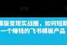 飞书模版变现实战圈,如何短期搭建一个赚钱的飞书模板产品-蜗牛学社