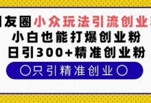 朋友圈小众玩法引流创业粉,小白也能打爆创业粉,日引300+精准创业粉-蜗牛学社