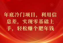 年底冷门项目,利用信息差,实现零基础上手,轻松赚个肥年钱-蜗牛学社