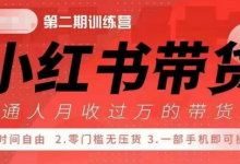 小Red书带货42天训练营 2.0版,宝妈+自由职+上班族+大学生,提高副业收入的大红利项目-蜗牛学社