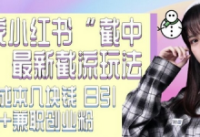 最新小红书截流玩法 独家截中截 单号成本几块钱 日引500+CY粉JZ粉-蜗牛学社