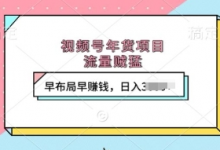 视频号年货项目，流量贼猛，早布局早挣钱，日入上k-蜗牛学社