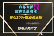 内部招聘渠道日引流300+创业粉,加爆你的微信-蜗牛学社