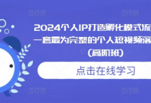 2024个人IP打造孵化模式流程课,一套最为完整的个人短视频落地课程(高阶班)-蜗牛学社
