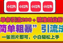 12月底小红书”简单粗暴“引流法，单条引流200+精准创业粉-蜗牛学社