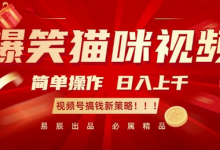 爆笑猫咪视频：简单操作，日入过K，视频号搞钱新策略-蜗牛学社