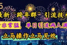 最新“跨年群”引流,流量非常猛,单日引流两人满人群,立马操作立马见效-蜗牛学社