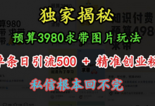 预算3980求带 图片玩法，单条日引流500+精准创业粉，私信根本回不完-蜗牛学社