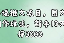 小说推文项目,图文创作玩法,新手10天挣3000-蜗牛学社