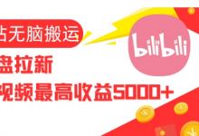 视频无脑搬运b站网盘拉新，单视频最高收益5k+-蜗牛学社