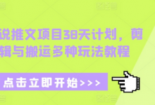 小说推文项目38天计划,剪辑与搬运多种玩法教程-蜗牛学社