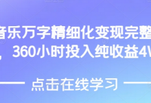 AI音乐精细化变现完整教程,360小时投入纯收益4W-蜗牛学社