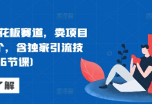 网创天花板赛道,卖项目月入6个,含独家引流技术(共26节课)-蜗牛学社