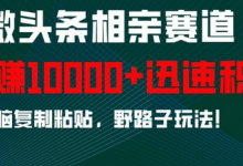 微头条相亲赛道，迅速积累，无脑复制粘贴，野路子玩法，月入1w-蜗牛学社