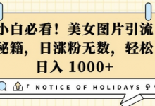 小白必看,美女图片引流秘籍,日涨粉无数,轻松日入几张-蜗牛学社