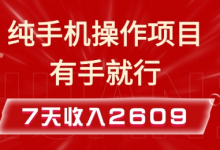 纯手机操作的小项目,有手就能做,7天收入2609+实操教程-蜗牛学社