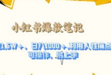 利用人性的痛点,打造爆款笔记,获得点赞超过1.5W+,日入1k-蜗牛学社