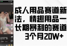 成人用品赛道新玩法,情趣用品一个长期暴利的赛道,3个月收益20个-蜗牛学社