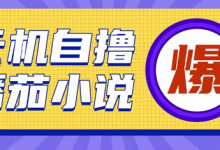 首发云手机自撸小说玩法,10块钱成本可撸200+收益操作简单-蜗牛学社
