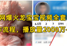 全网爆火龙宝宝视频全套操作流程,播放量2000万+-蜗牛学社