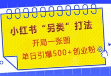 小红书“另类”打法,开局一张图,单日引爆500+精准创业粉-蜗牛学社