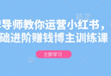 金牌导师教你运营小红书，0基础进阶赚钱博主训练课-蜗牛学社
