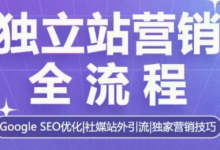 独立站营销全流程，Google SEO优化，社媒站外引流，独家营销技巧-蜗牛学社