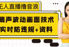 无人直播撸音浪+随声波动画面技术+实时防违规+资料-蜗牛学社