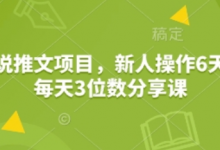 小说推文项目,新人操作6天,每天3位数分享课-蜗牛学社